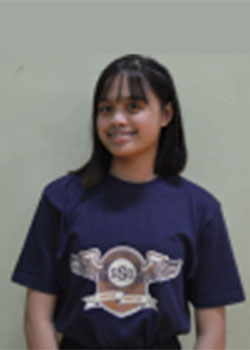 SSG Auditor